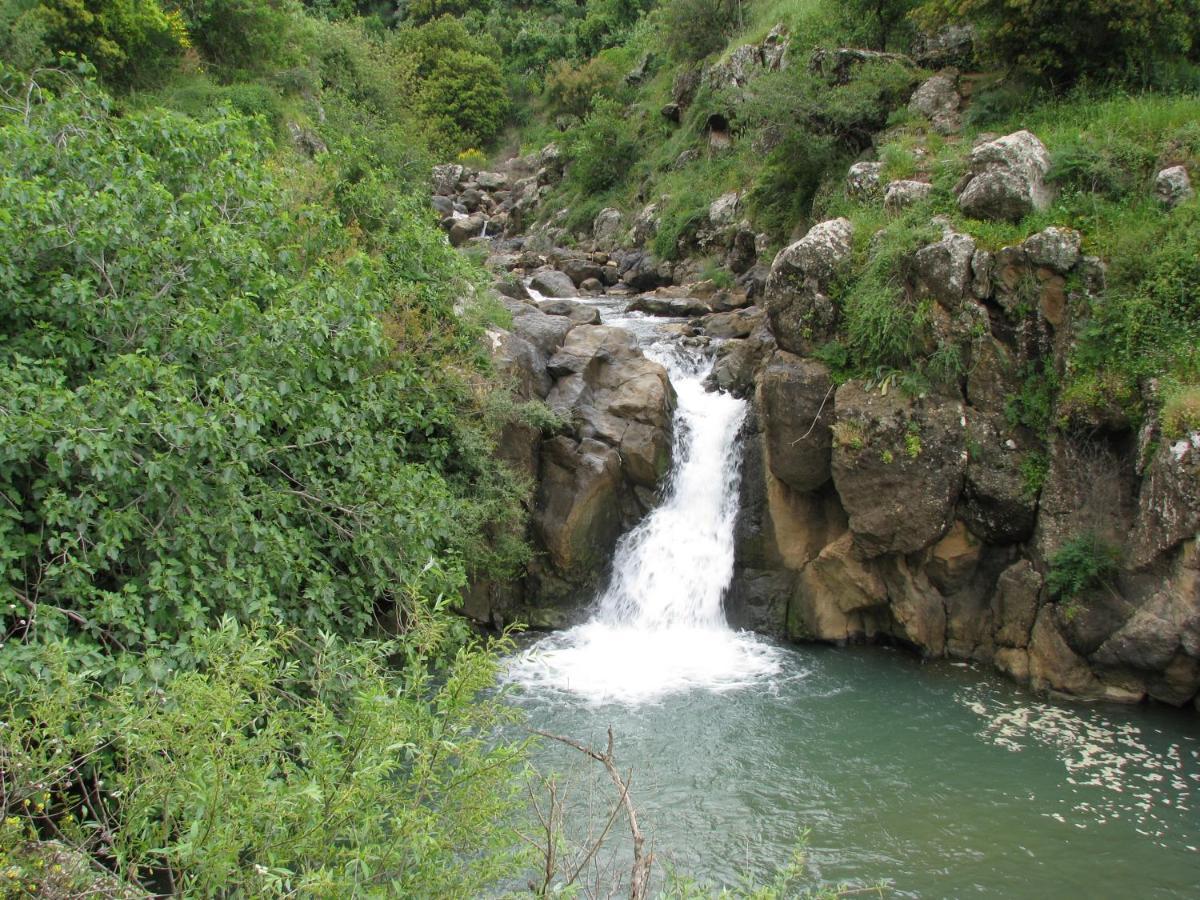 Tourism In The Village *