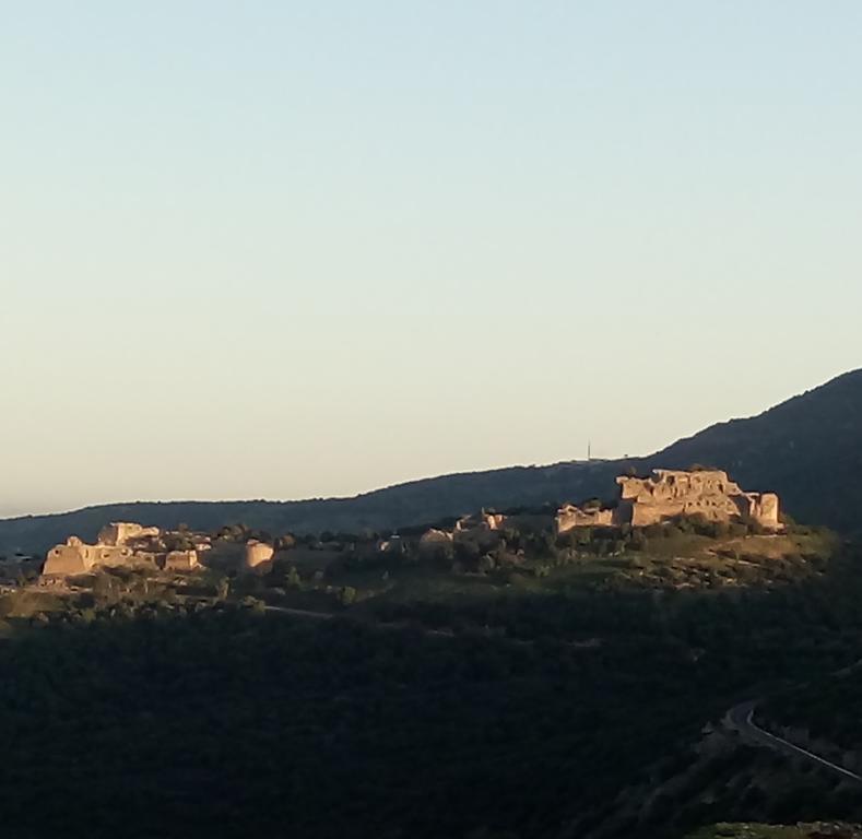 Tourism In The Village